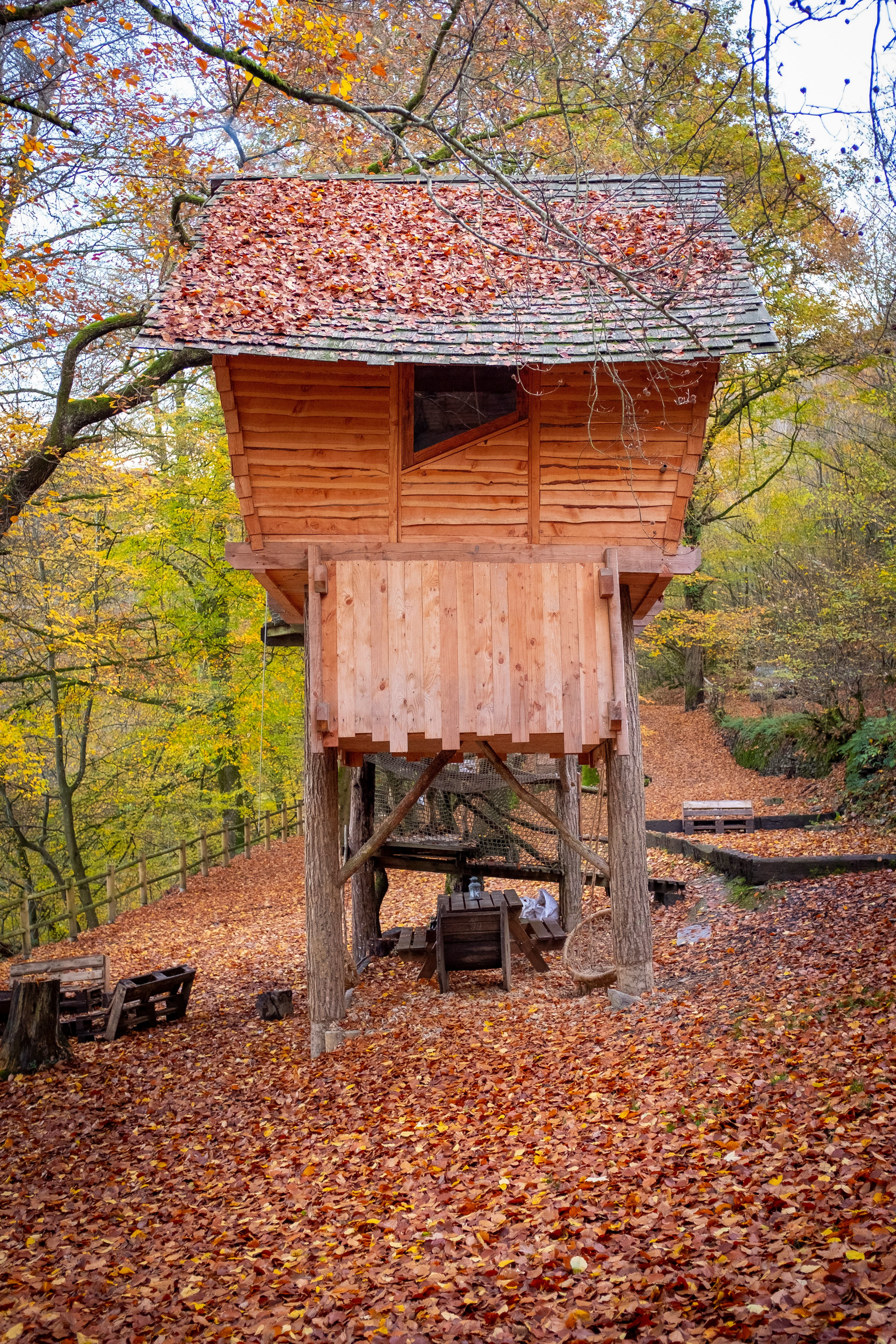 brown wooden house surrounded by trees during daytime